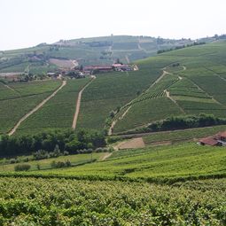 PRIVATE DAY TRIPS FROM FLORENCE